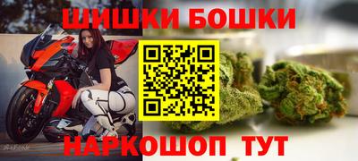 гашик Дубна