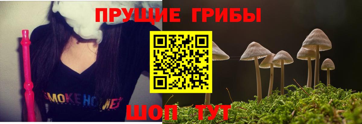 наркота  Вход с VPN  Людиново  Псилоцибиновые грибы Cubensis 
